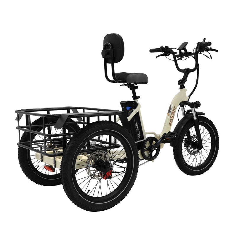 OneSport OT30 Electric Cargo Tricycle