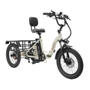 OneSport OT30 Electric Cargo Tricycle