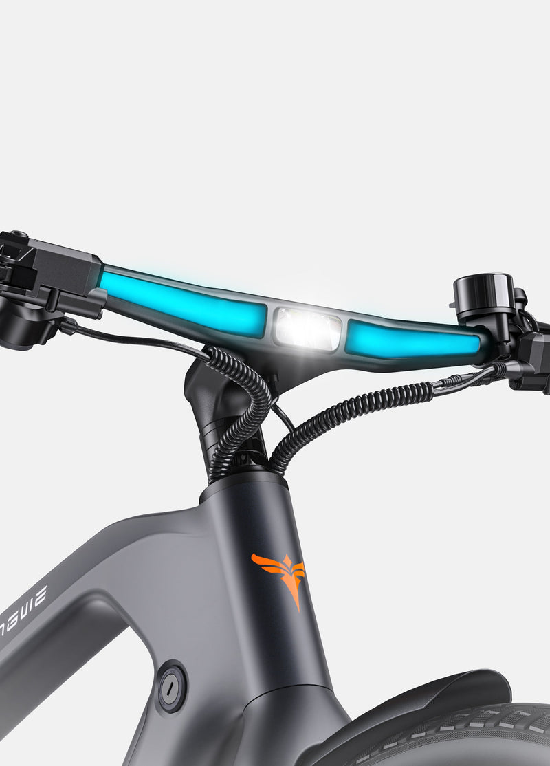 ENGWE MAPFOUR N1 PRO