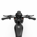 F20 Inch Electric Fat Tires 4.0