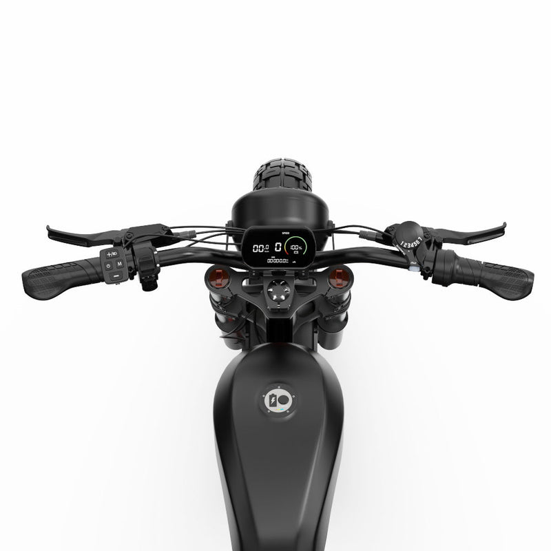 F20 Inch Electric Fat Tires 4.0