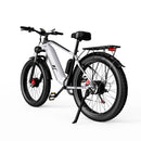 F26 Inch Electric Dual Motor - Fat Tires 4.0
