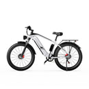 F26 Inch Electric Dual Motor - Fat Tires 4.0